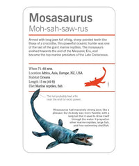 DK Smithsonian Dinosaurs and Other Prehistoric Creatures Flashcards