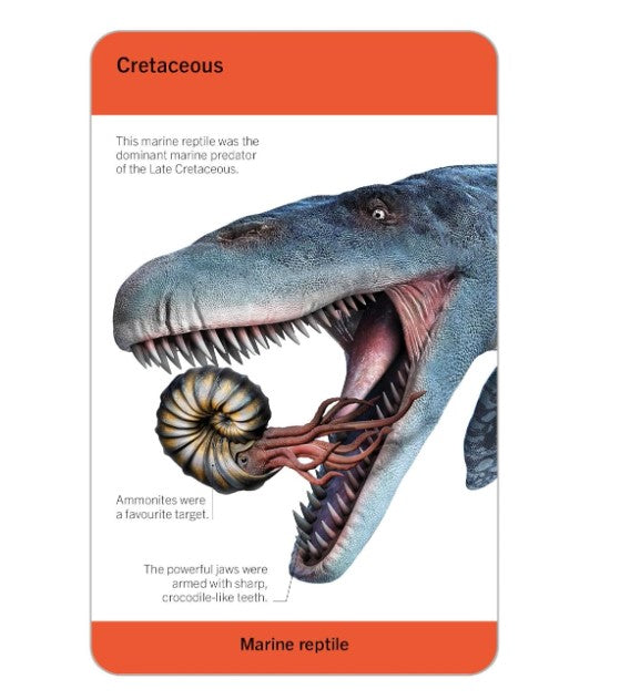 DK Smithsonian Dinosaurs and Other Prehistoric Creatures Flashcards