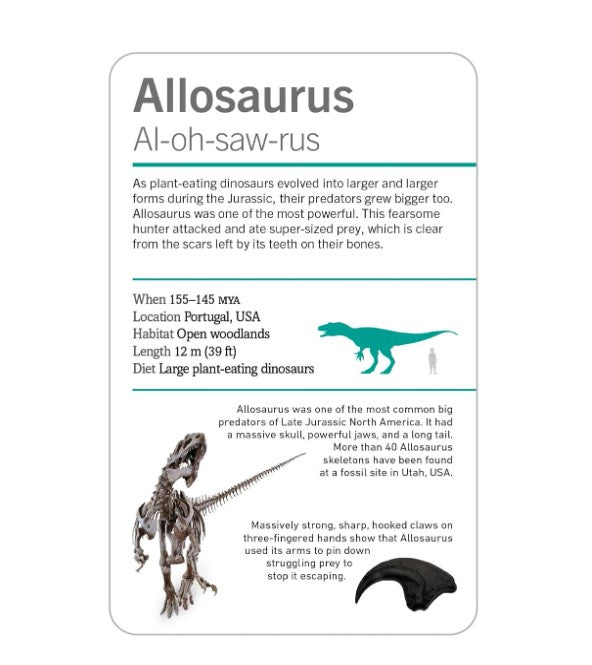 DK Smithsonian Dinosaurs and Other Prehistoric Creatures Flashcards