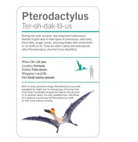 DK Smithsonian Dinosaurs and Other Prehistoric Creatures Flashcards