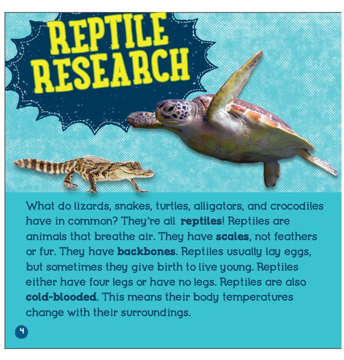 Big and Small Animals Reptiles