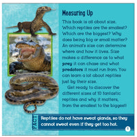 Big and Small Animals Reptiles