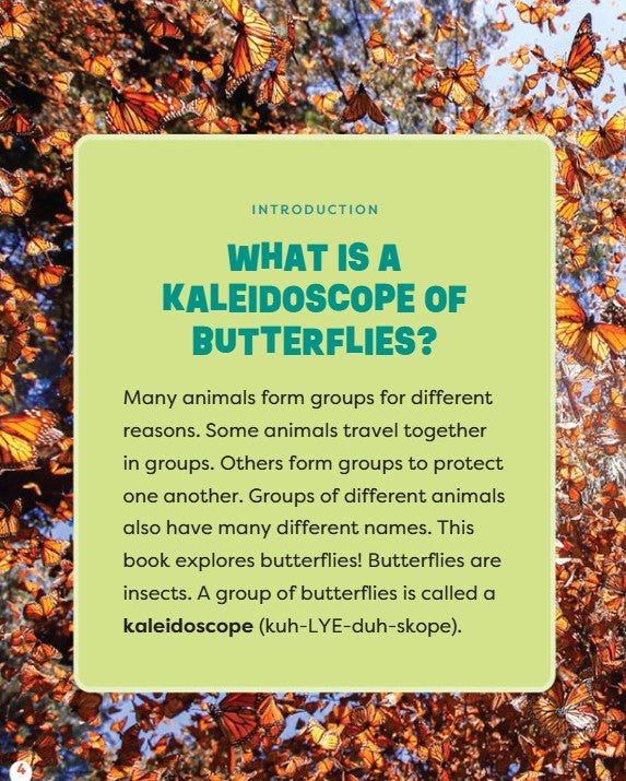 Eric Geron A Kaleidoscope of Butterflies