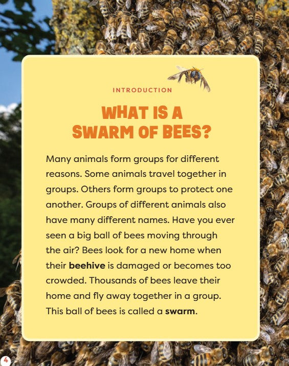 Claire Caprioli A Swarm of Bees