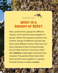 Claire Caprioli A Swarm of Bees