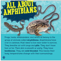 Big and Small Animals Amphibians