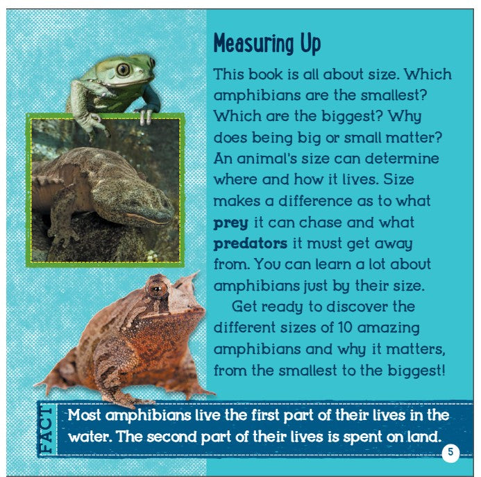 Big and Small Animals Amphibians