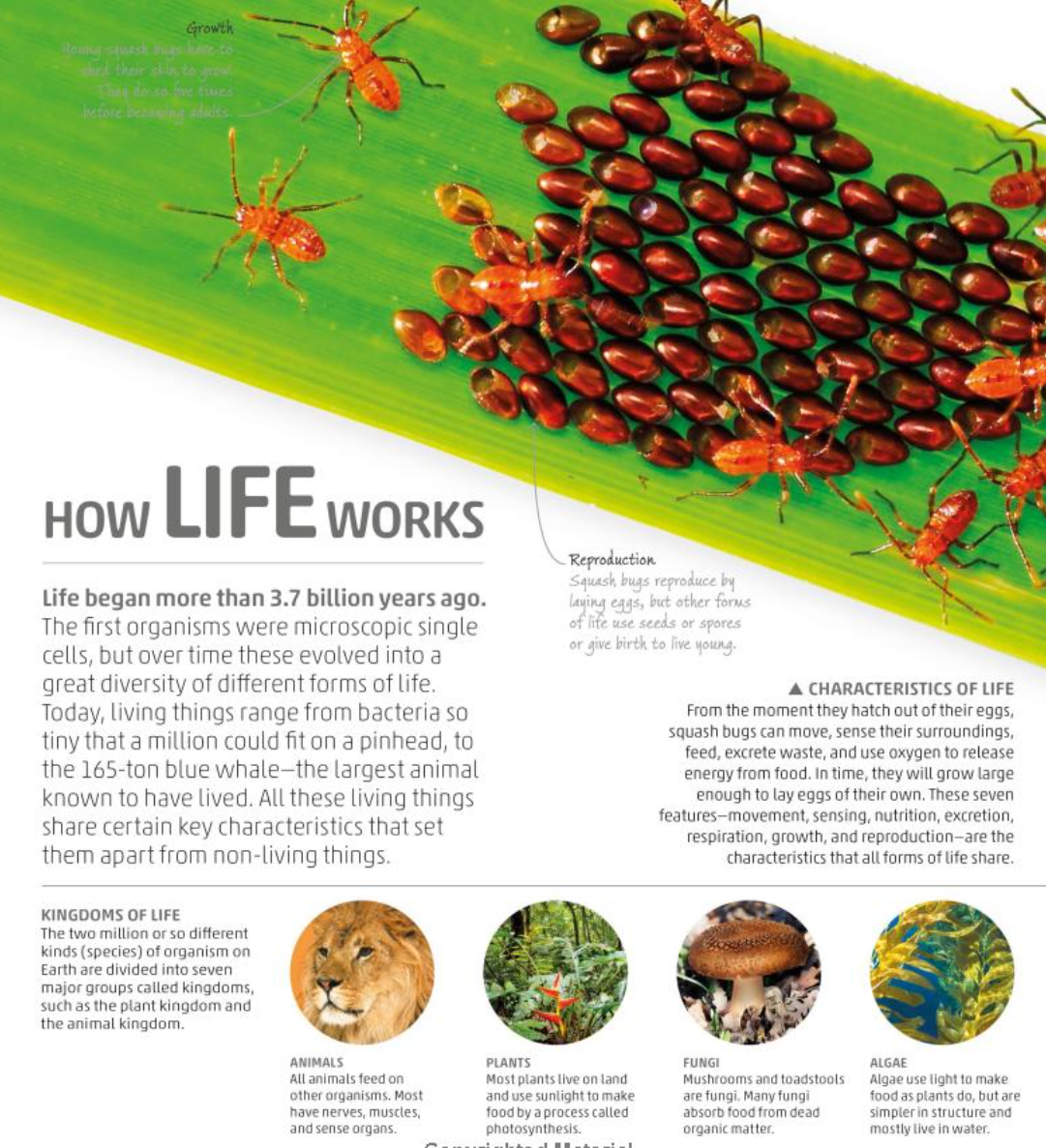 DK Smithsonian Explanatorium of Nature