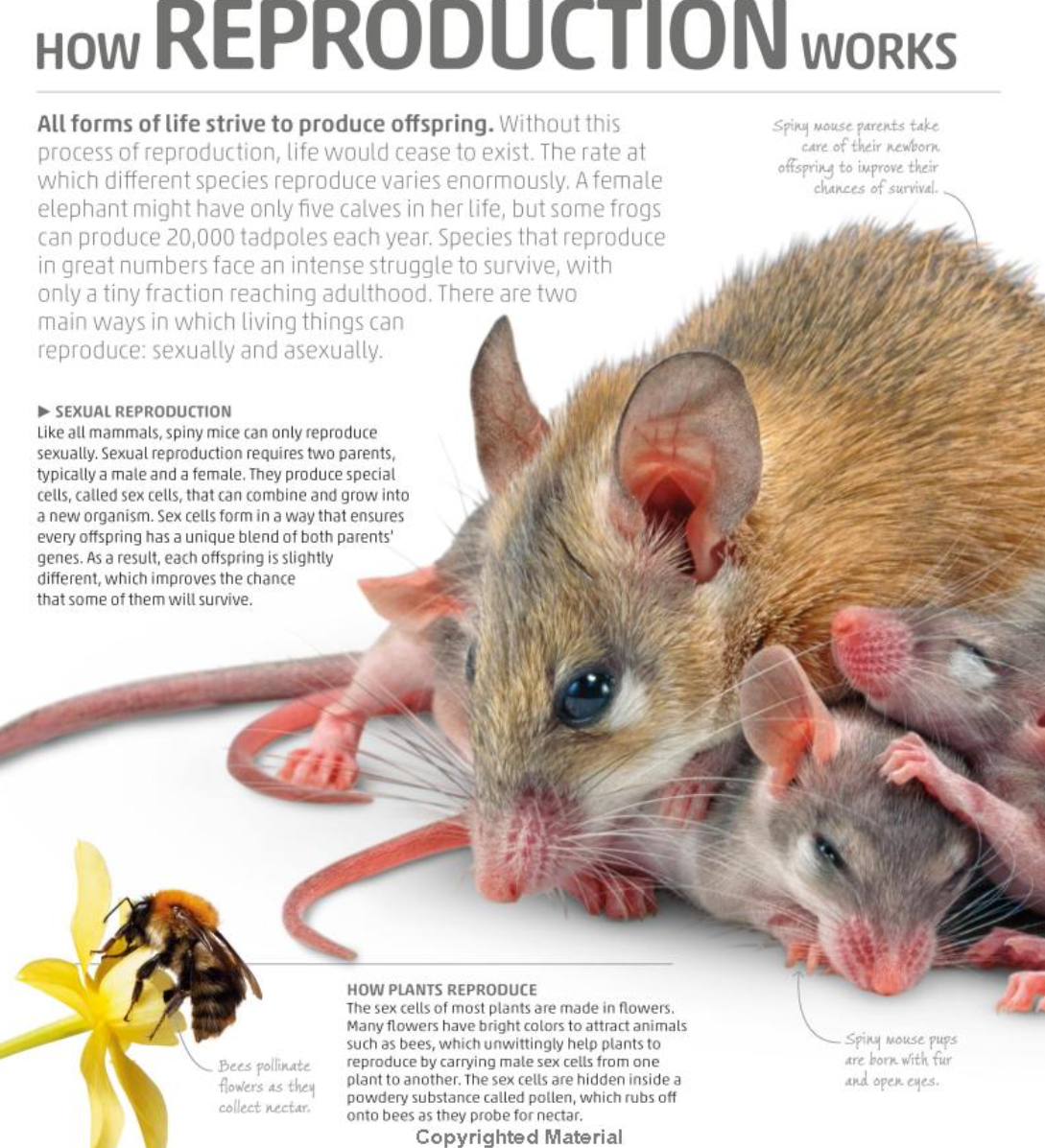 DK Smithsonian Explanatorium of Nature