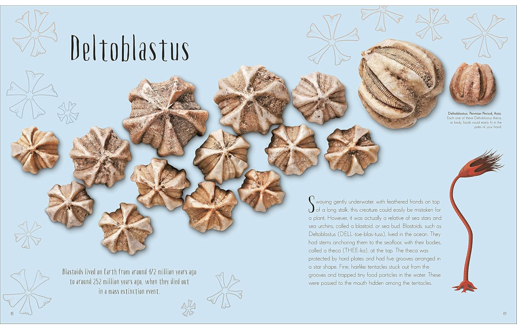 DK Dinosaurs and Other Prehistoric Life