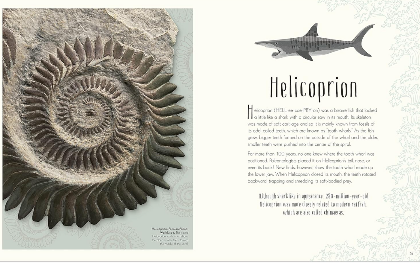 DK Dinosaurs and Other Prehistoric Life