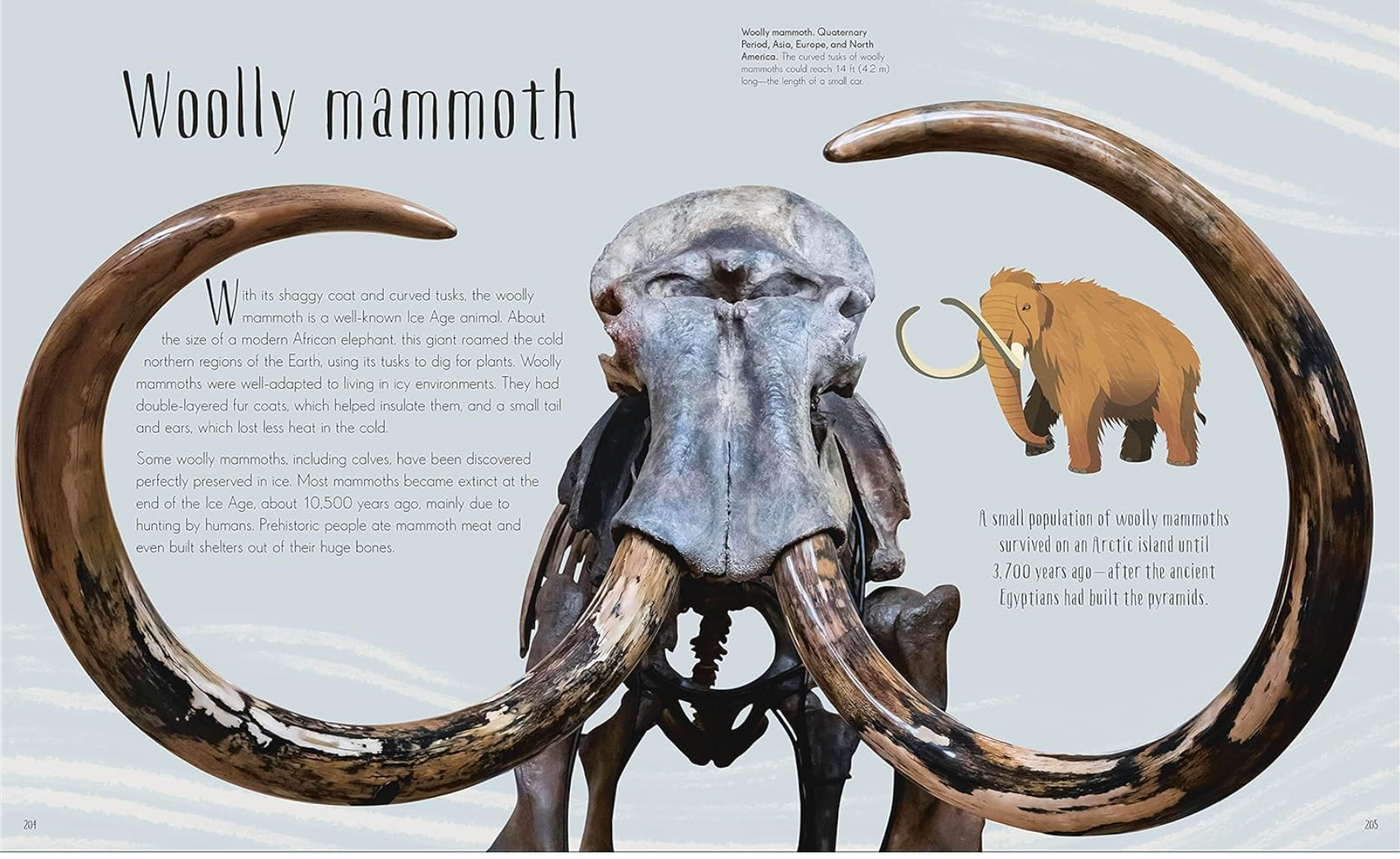 DK Dinosaurs and Other Prehistoric Life