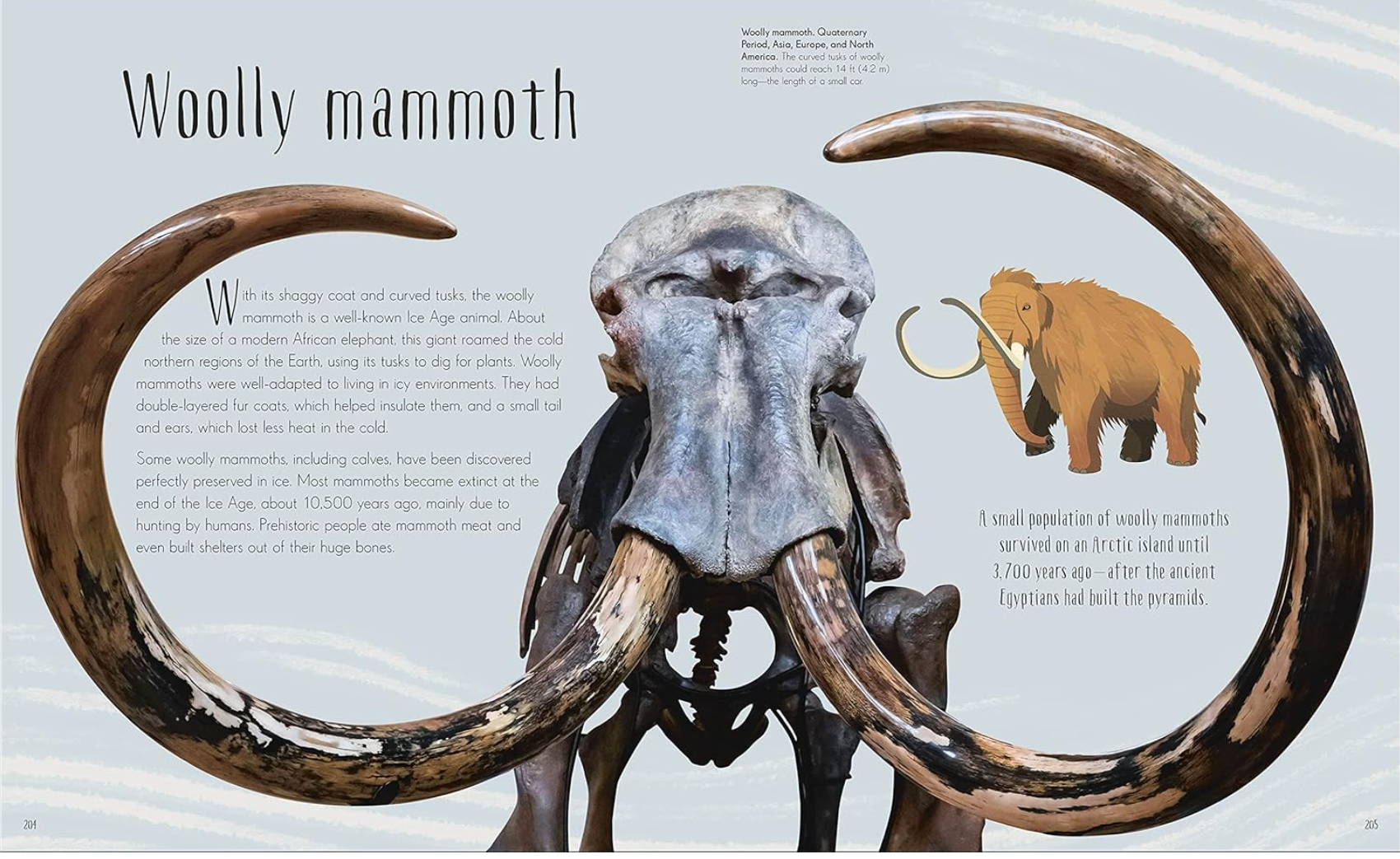 DK Dinosaurs and Other Prehistoric Life