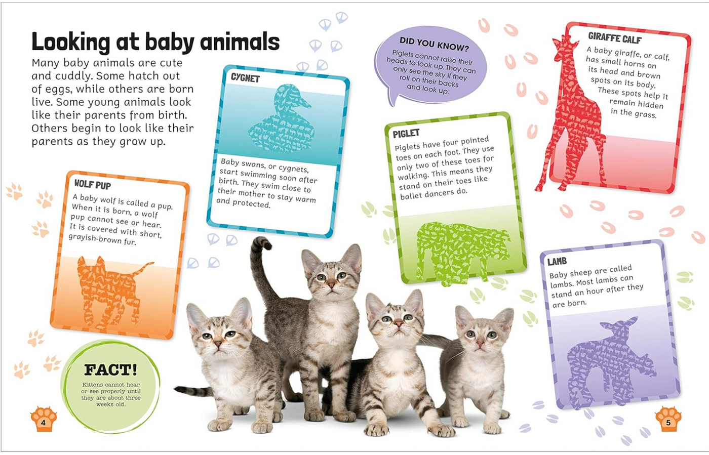 DK Sticker Encyclopedia Baby Animals