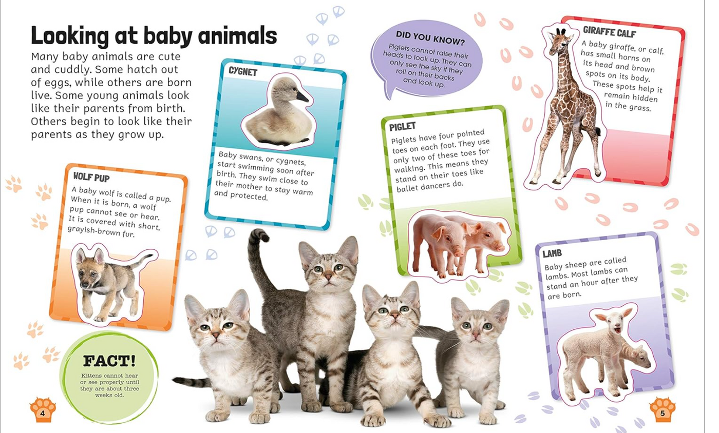 DK Sticker Encyclopedia Baby Animals