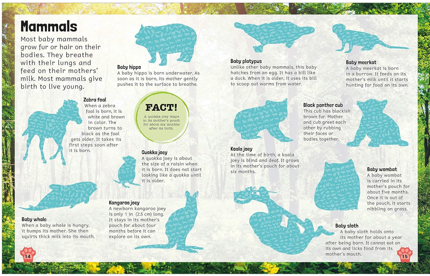 DK Sticker Encyclopedia Baby Animals