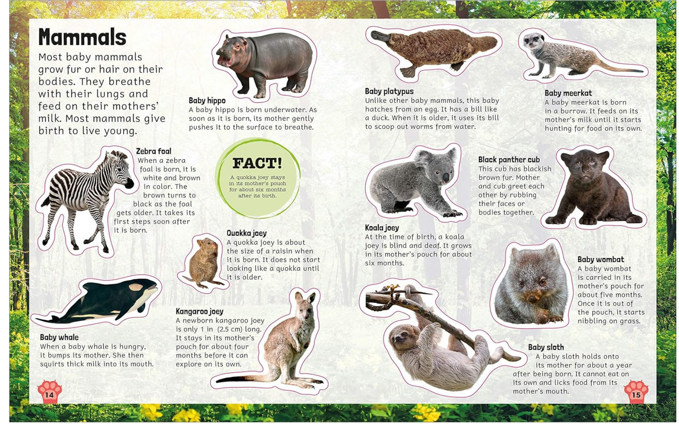 DK Sticker Encyclopedia Baby Animals