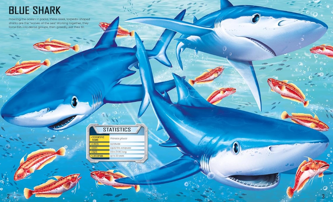 Usborne Build Your Own Sharks Sticker Book