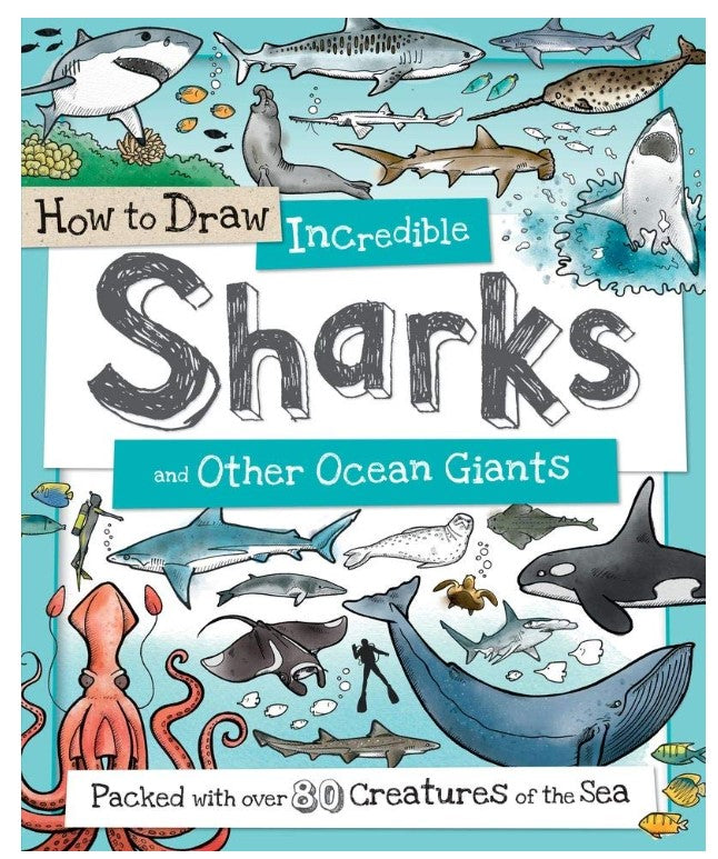 How To Draw Incredible Sharks