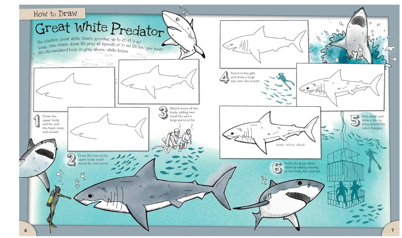 How To Draw Incredible Sharks