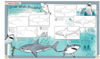 How To Draw Incredible Sharks