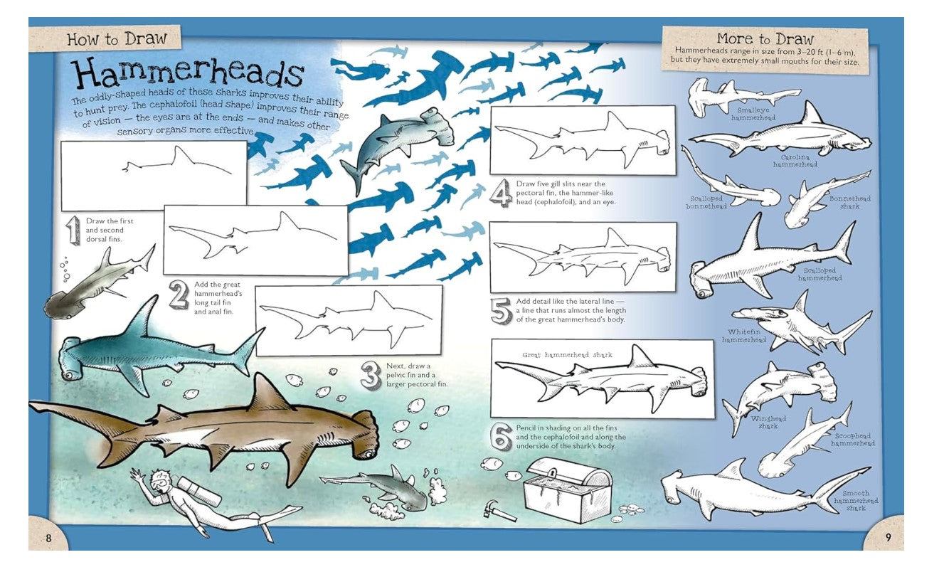 How To Draw Incredible Sharks