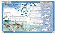 How To Draw Incredible Sharks