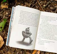 Peter Brown Wild Robot Protects