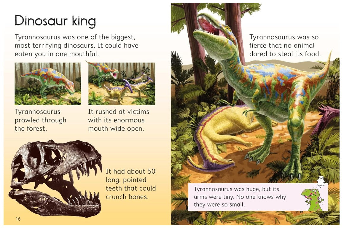 Usborne Beginners Dinosaurs