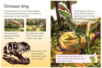 Usborne Beginners Dinosaurs
