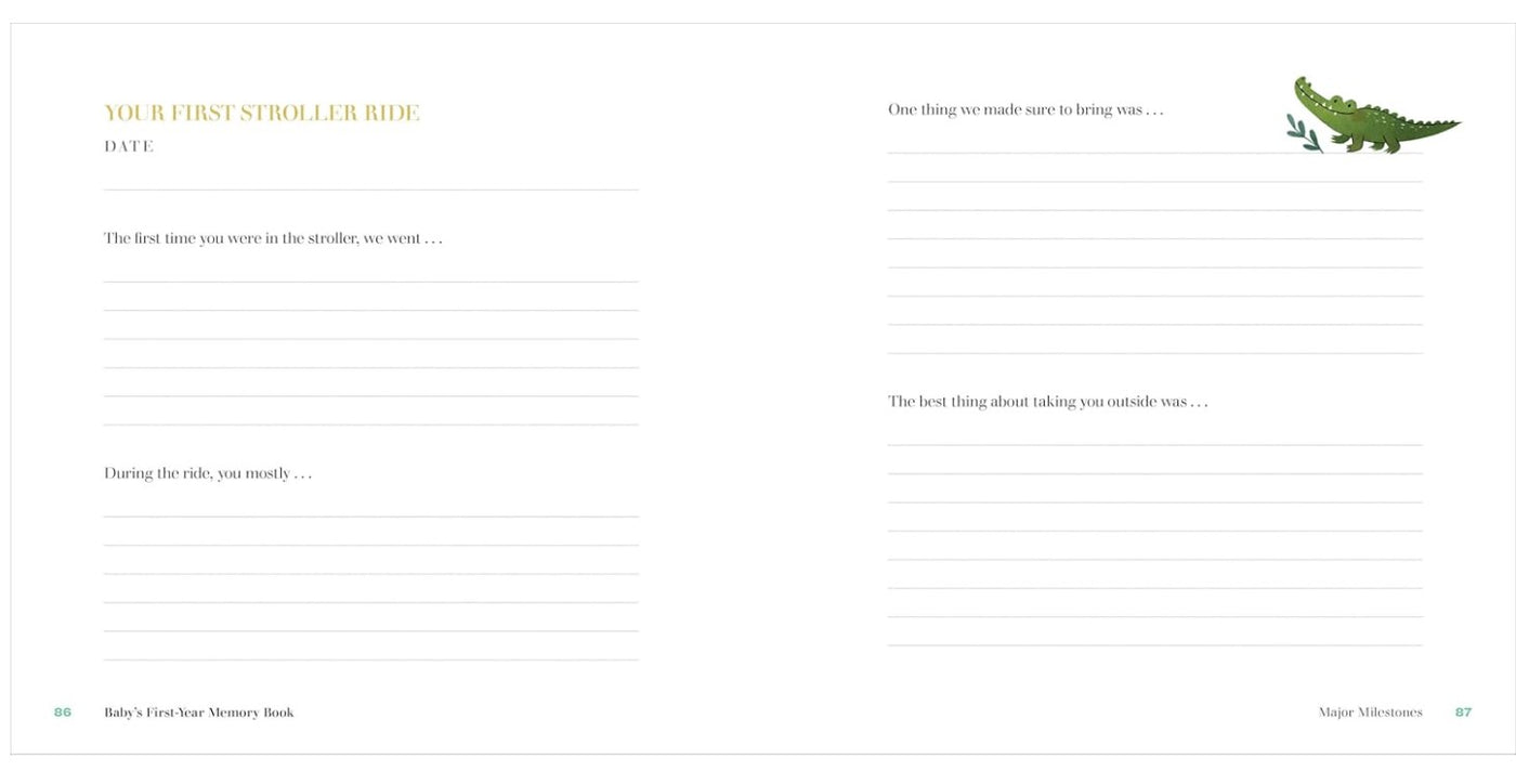 Baby's First Year Memory Book