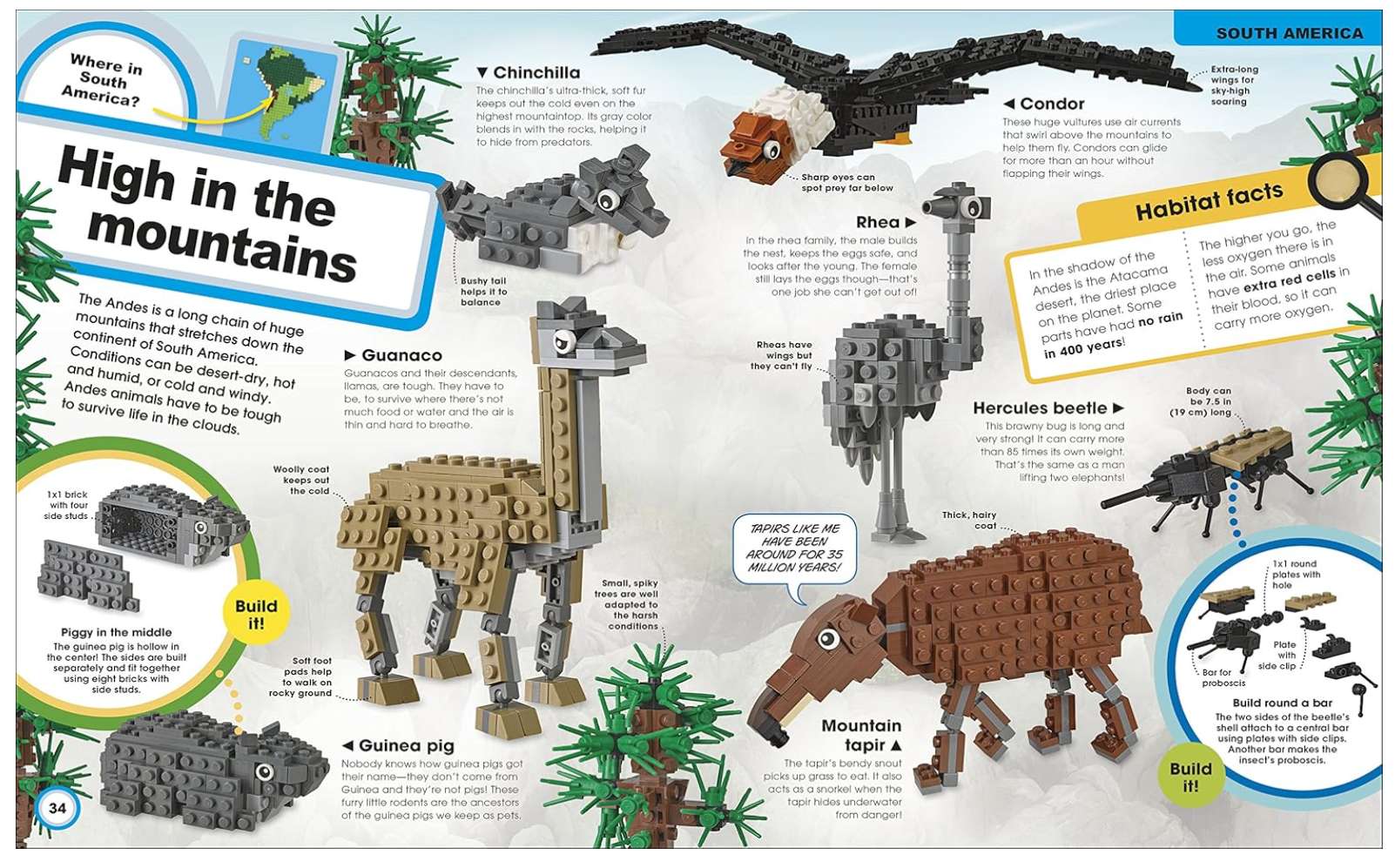 DK LEGO Animal Atlas Discover the Animals of the World