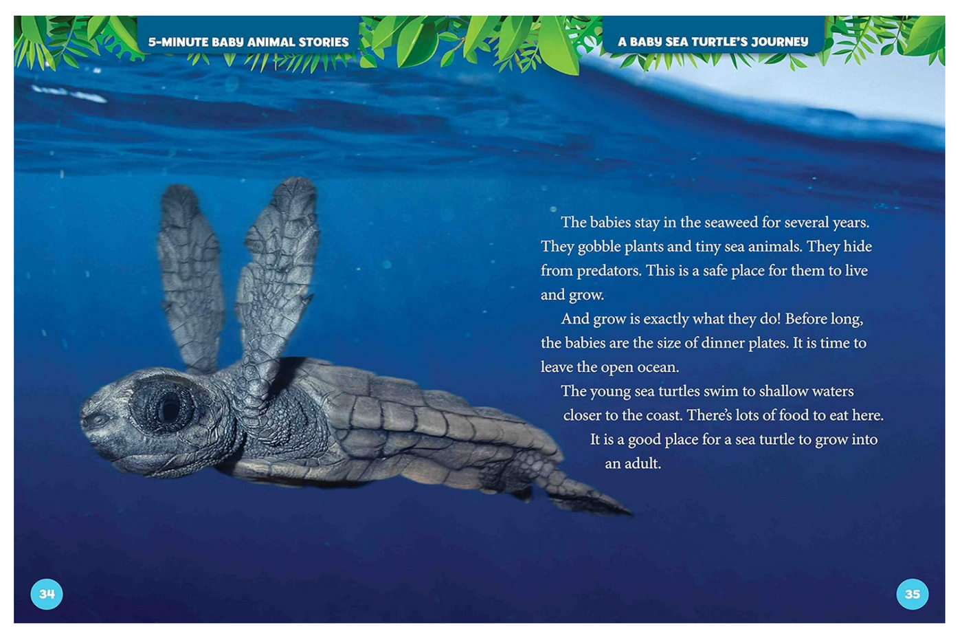 National Geographic Kids 5  Minute Baby Animal Stories