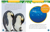 National Geographic Kids 5  Minute Baby Animal Stories