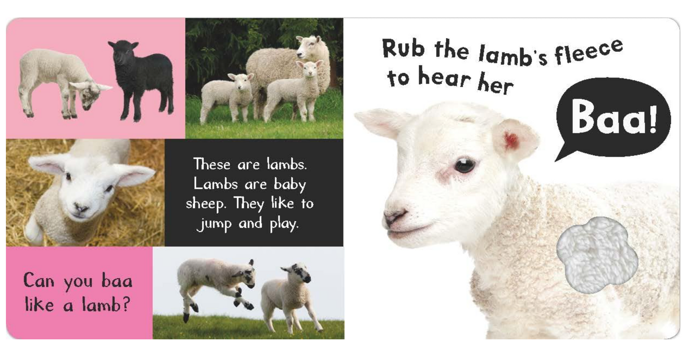 Tiger Tales Noisy Farm