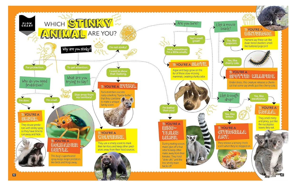 National Geographic Kids Personality Quizzes