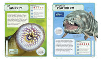 Dk Books Sharks And Others Deadly Ocean Creatures Visual Encyclopedia