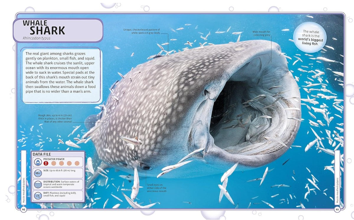 Dk Books Sharks And Others Deadly Ocean Creatures Visual Encyclopedia