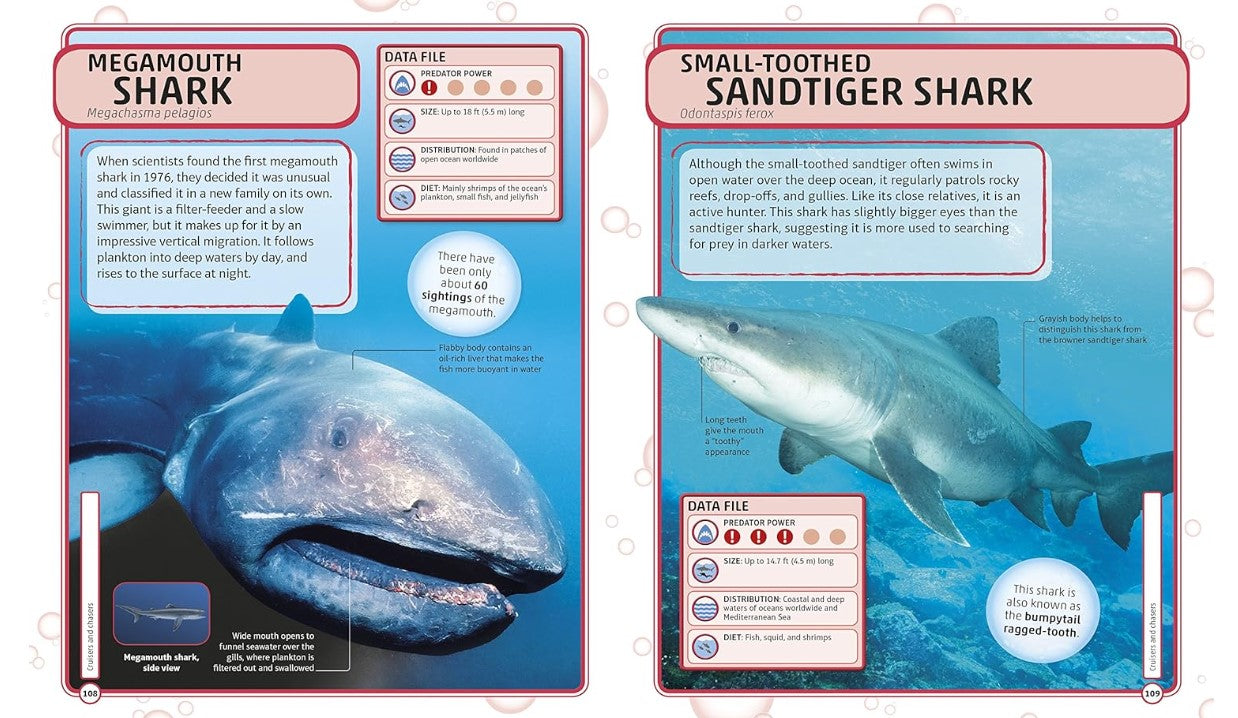 Dk Books Sharks And Others Deadly Ocean Creatures Visual Encyclopedia