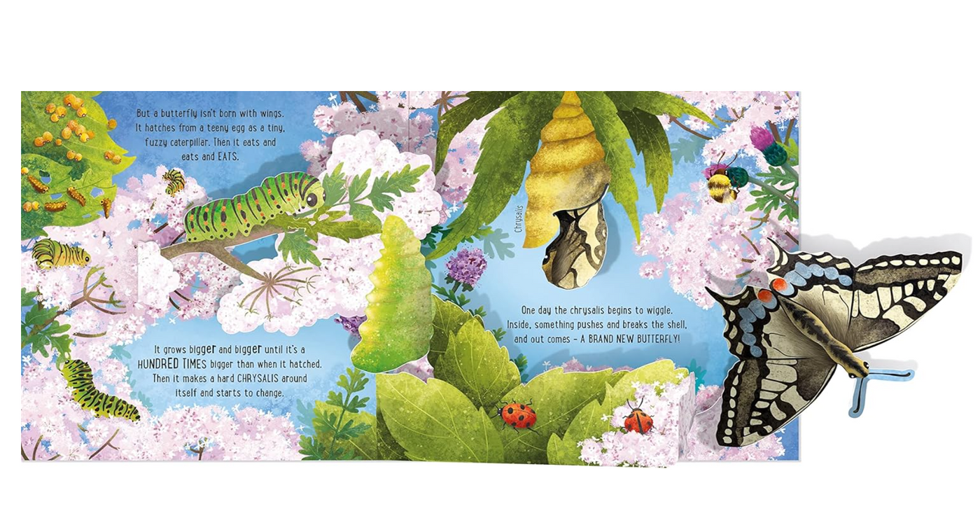 Usborne Pop Up Butterflies