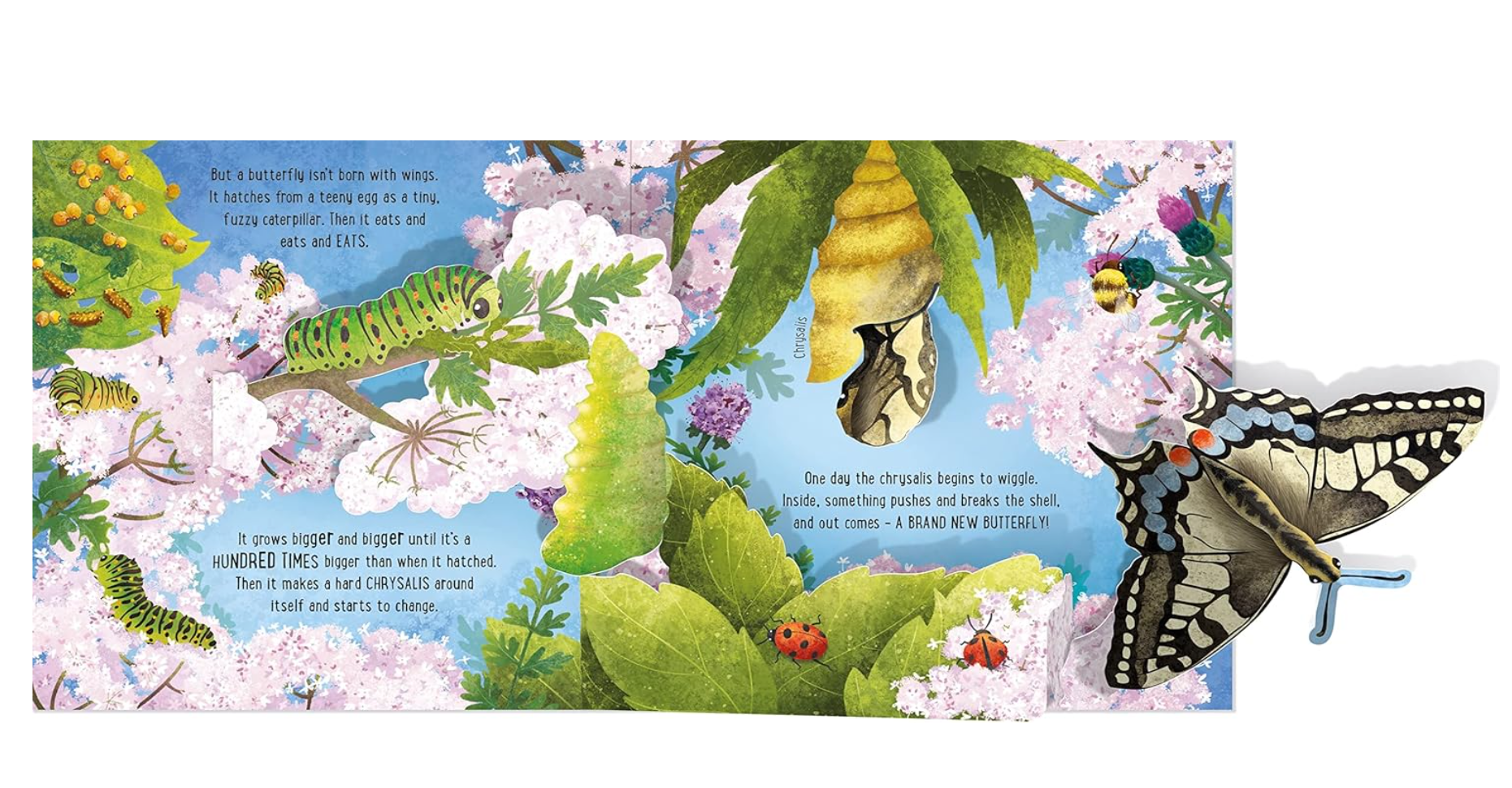 Usborne Pop Up Butterflies