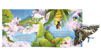 Usborne Pop Up Butterflies