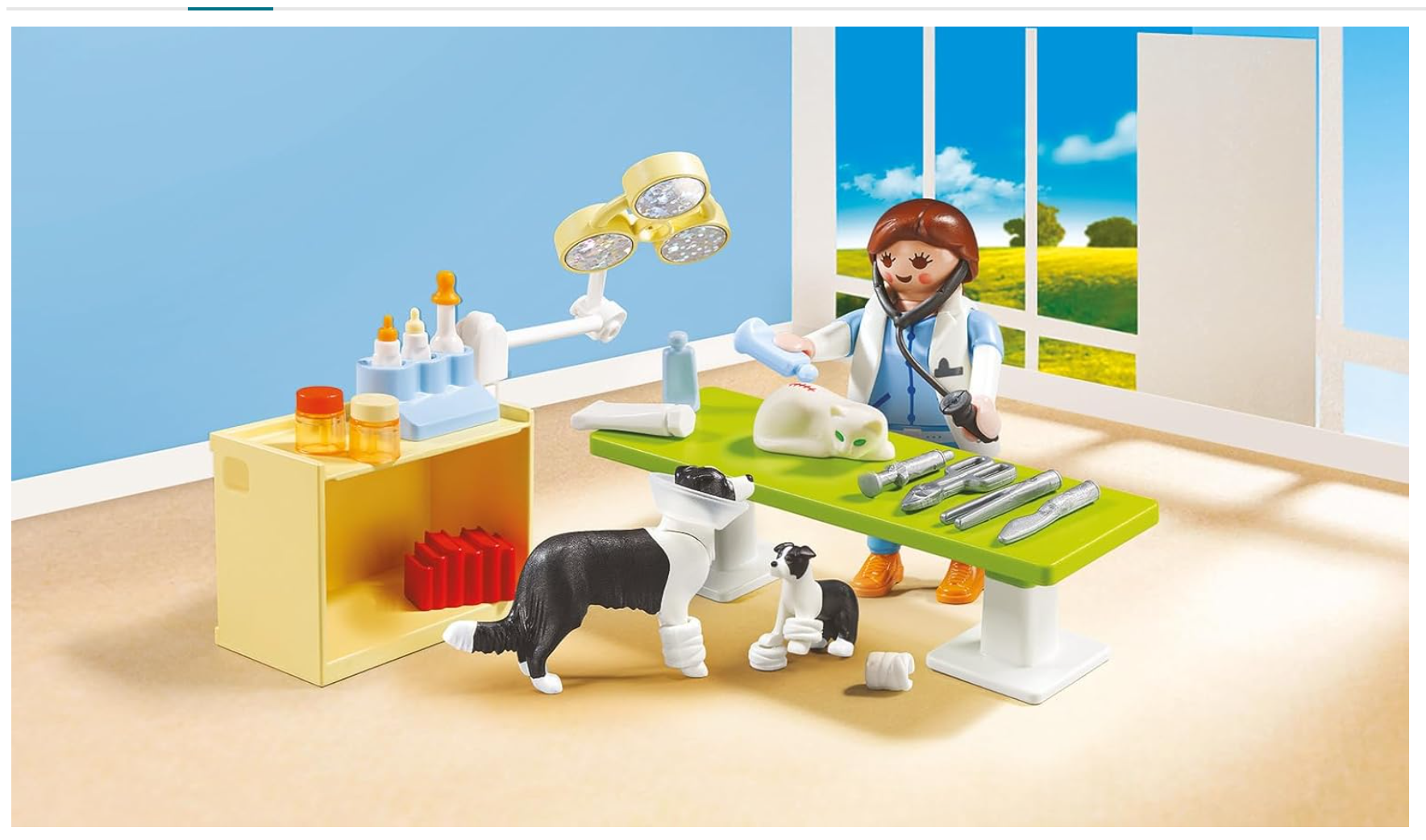 Playmobil City Life Vet Visit Small Carry Case 5653