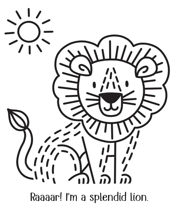 Usborne Zoo Magic Painting Book