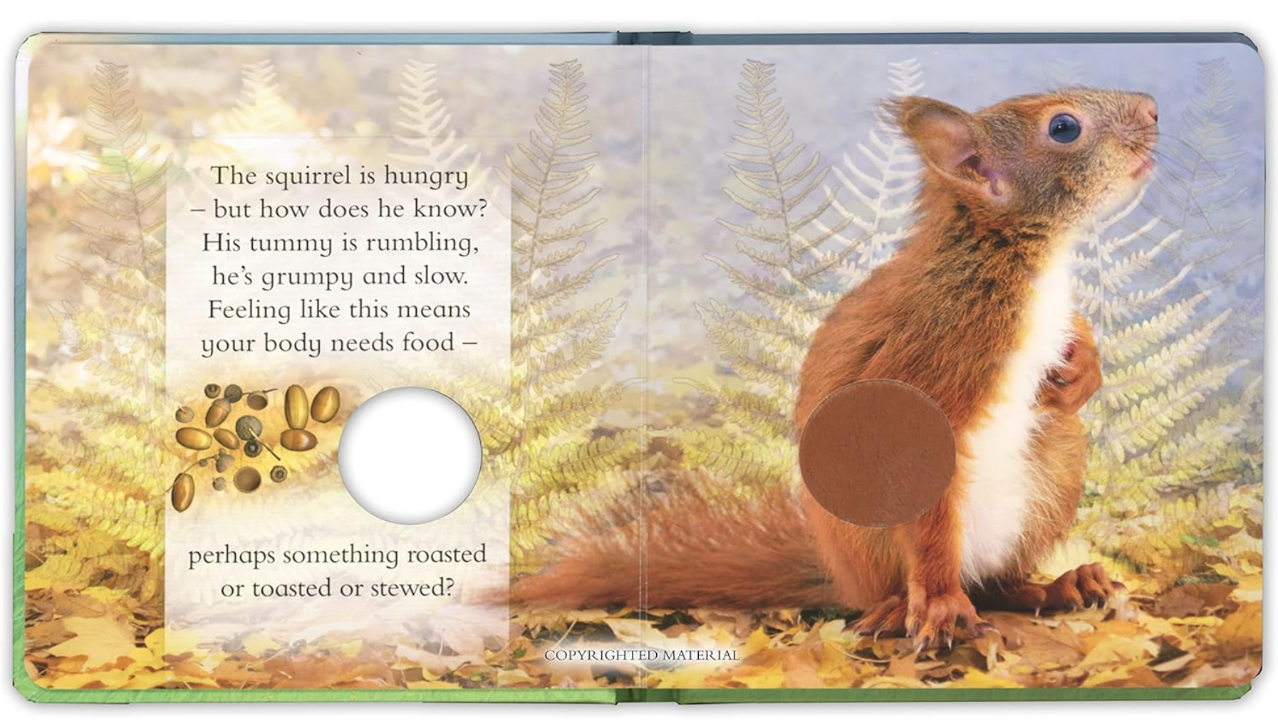 Feeling Hungry Mealtimes Made Easy with Your Animal Friends