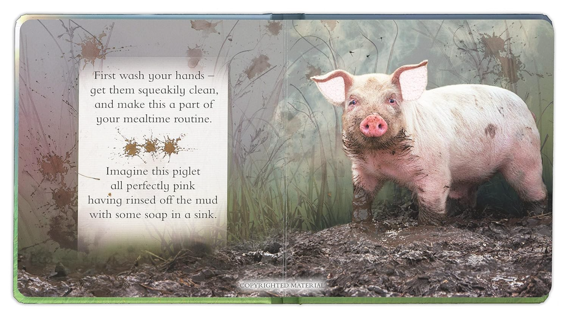 Feeling Hungry Mealtimes Made Easy with Your Animal Friends