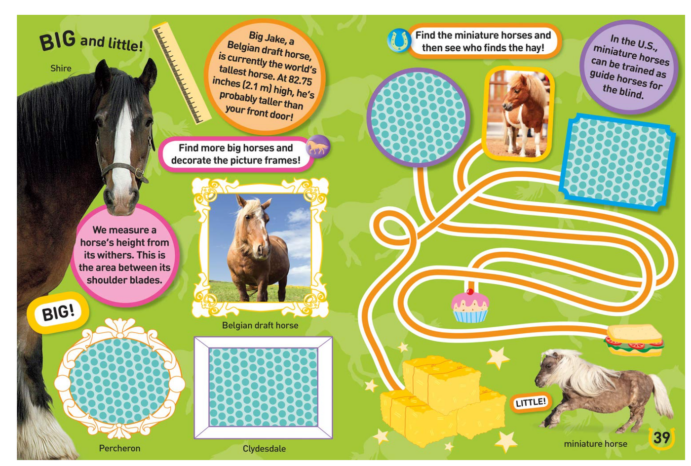 National Geographic Kids Ponies and Horses Sticker Activity Book