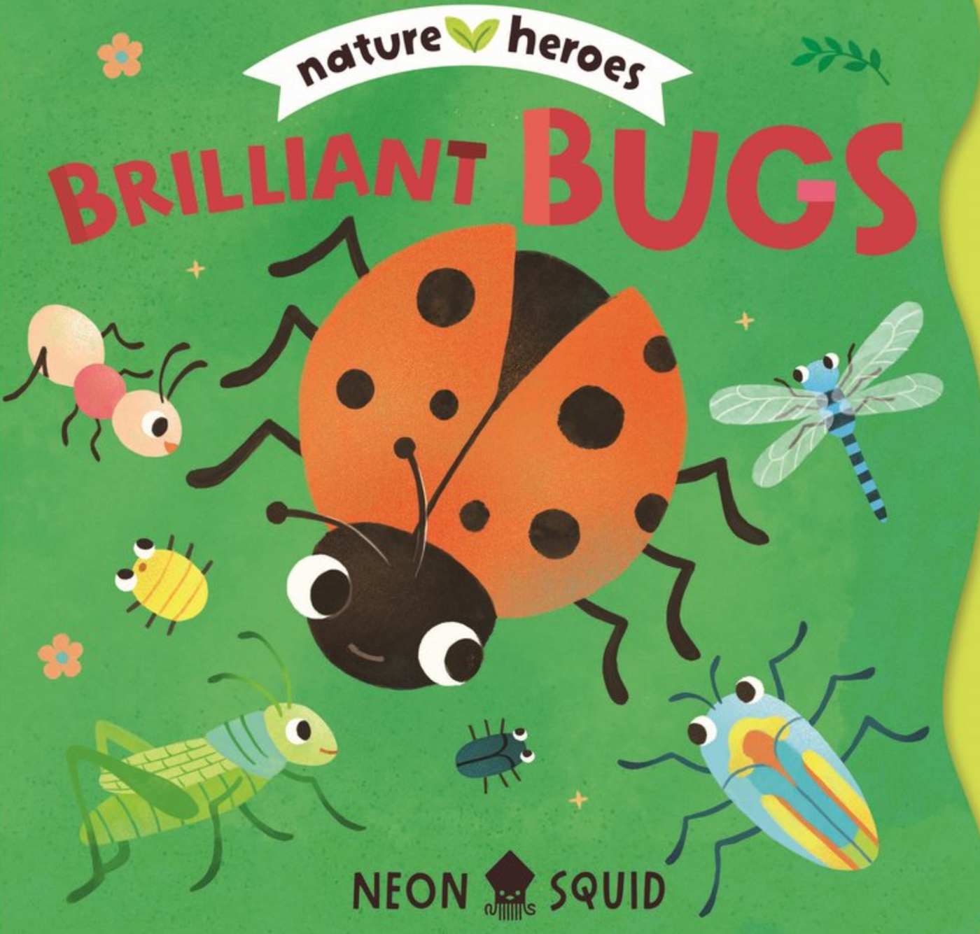 Nature Heroes Brilliant Bugs