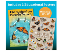 MindWare Butterfly House Make Your Own