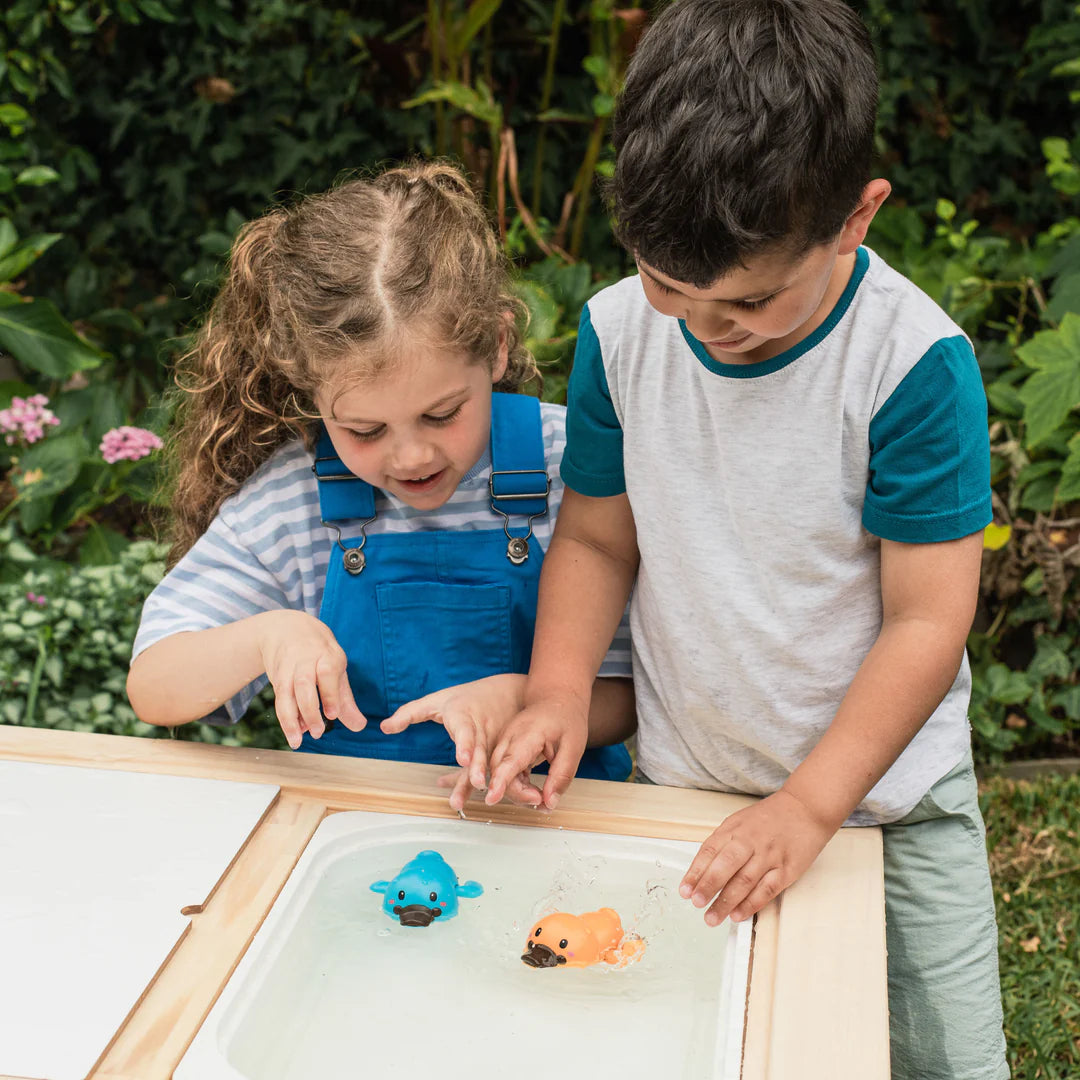 Tiger Tribe Platypuses Bath Racers